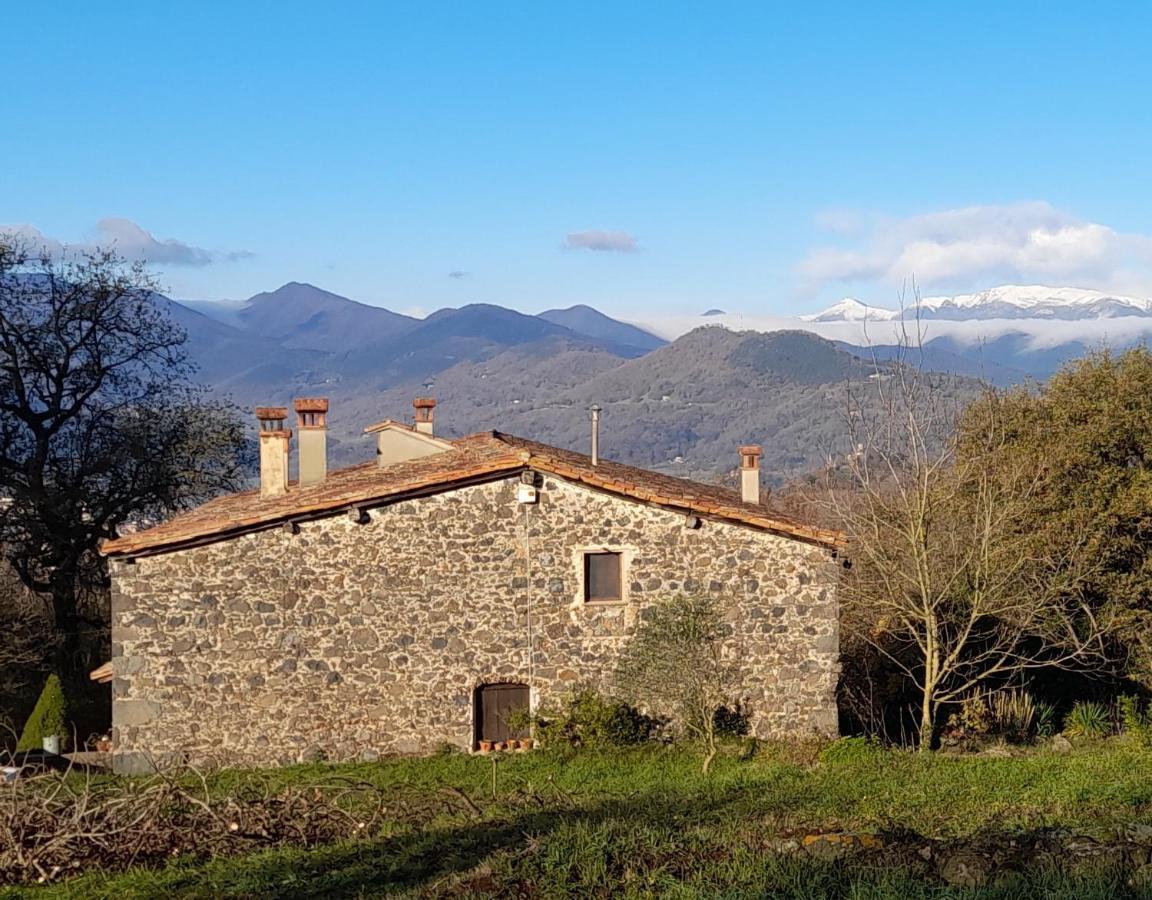 Ferienhaus Mas Puig De Baix With Private Pool And Gardens *